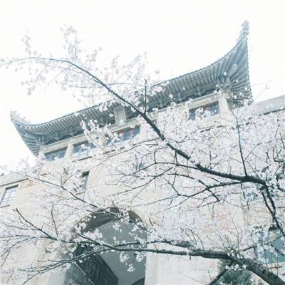 铁甲战队测试版下载