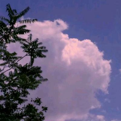 武动仙途手游下载
