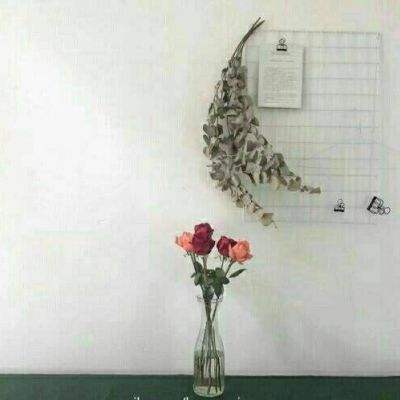 儿童游戏涂颜色绘画下载
